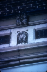 Terra cotta owl from cornice entablature.