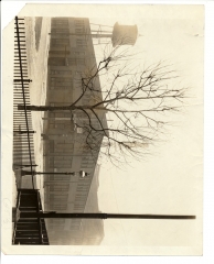 scan_0256_s_s