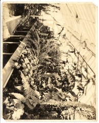 scan_0467_s_s