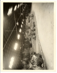 scan_0956_s_s