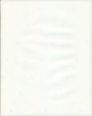 scan_0971_s_s