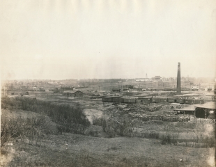 Evens & Howard Plant