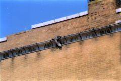 Gaslight4200Olive_p1_neg27_09